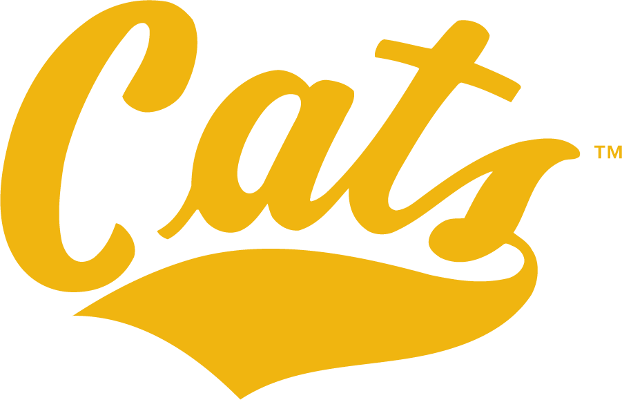Montana State Bobcats 1995-2004 Wordmark Logo iron on transfers for clothing